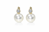 Shell pearl with zircon 14-14.5mm bucket zinc alloy earring 14x25mm
