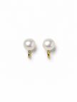 Fresh Water Pearl 11.5-12mm Alloy Clip Earring